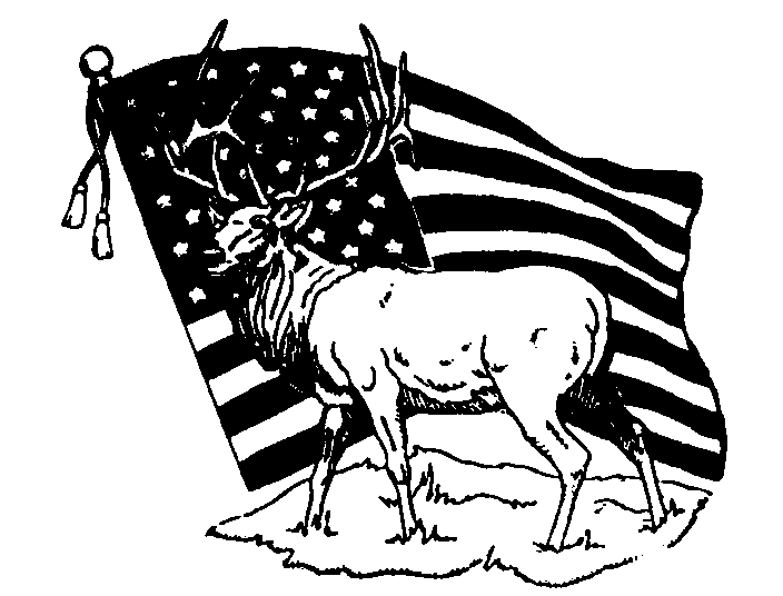 flag7.gif